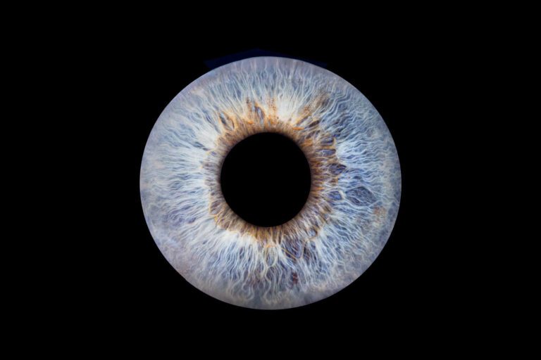 Photo iris yeux bleus