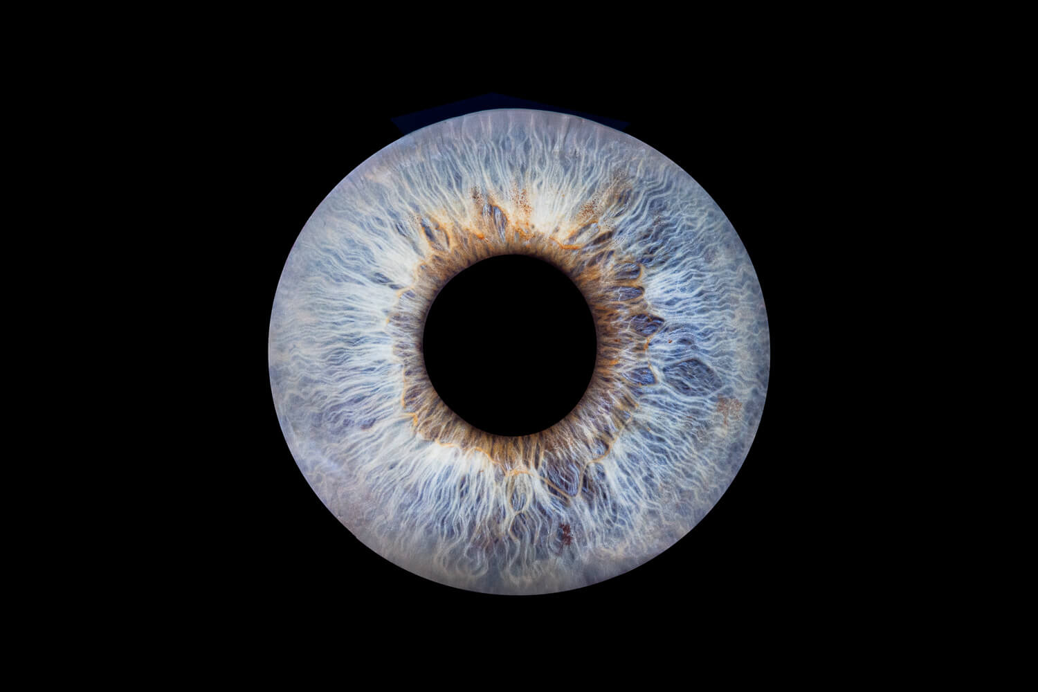 Photo iris yeux bleus