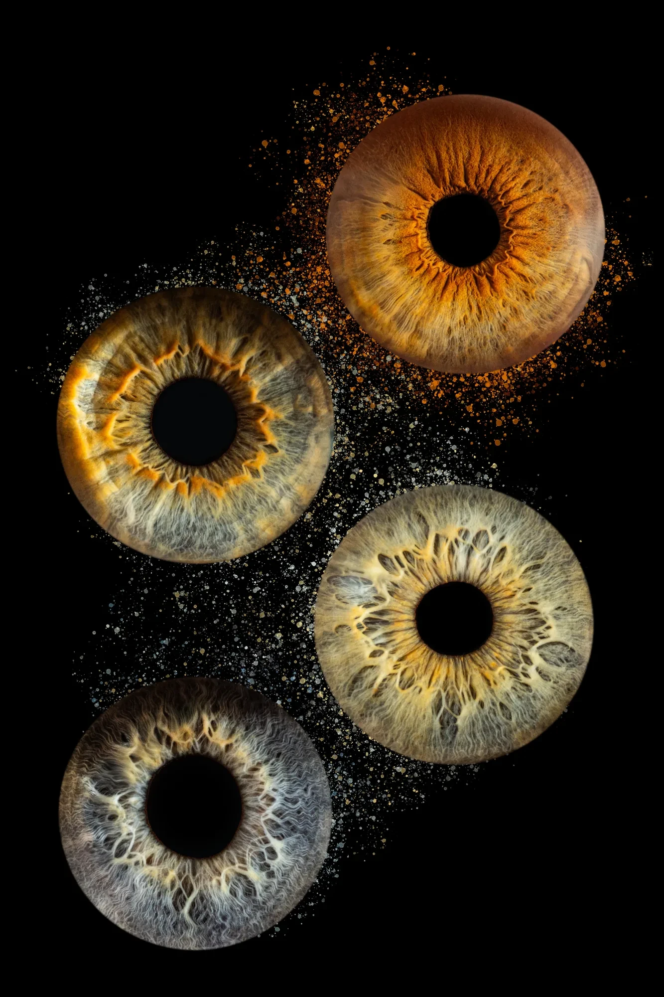 art-photo-iris-loire.webp art-photo-iris-loire.webp