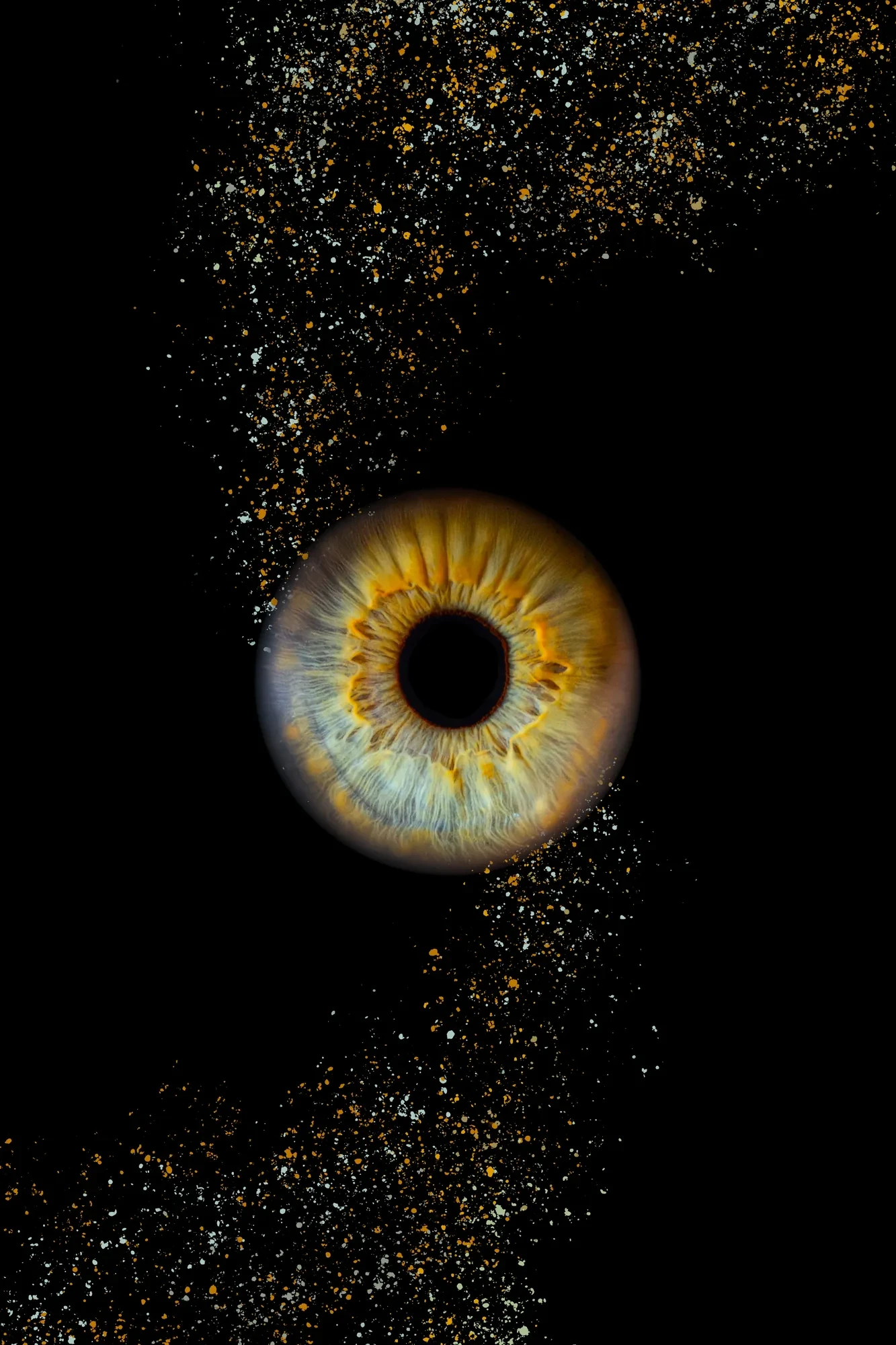 photo-oeil-iris-couleur.webp photo-oeil-iris-couleur.webp