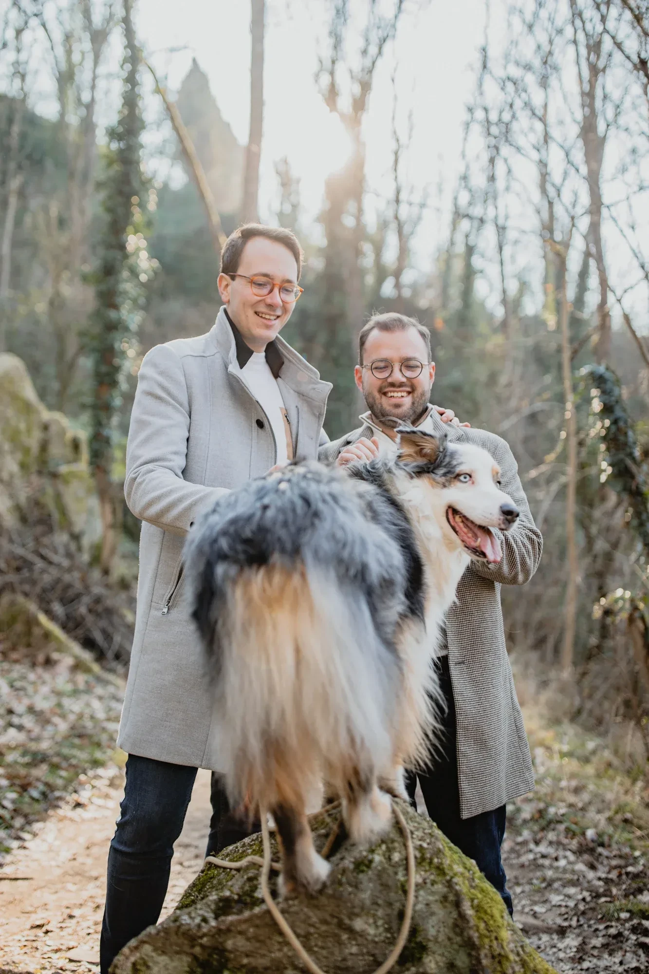 photo-chien-en-pleine-course.webp photo-chien-en-pleine-course.webp