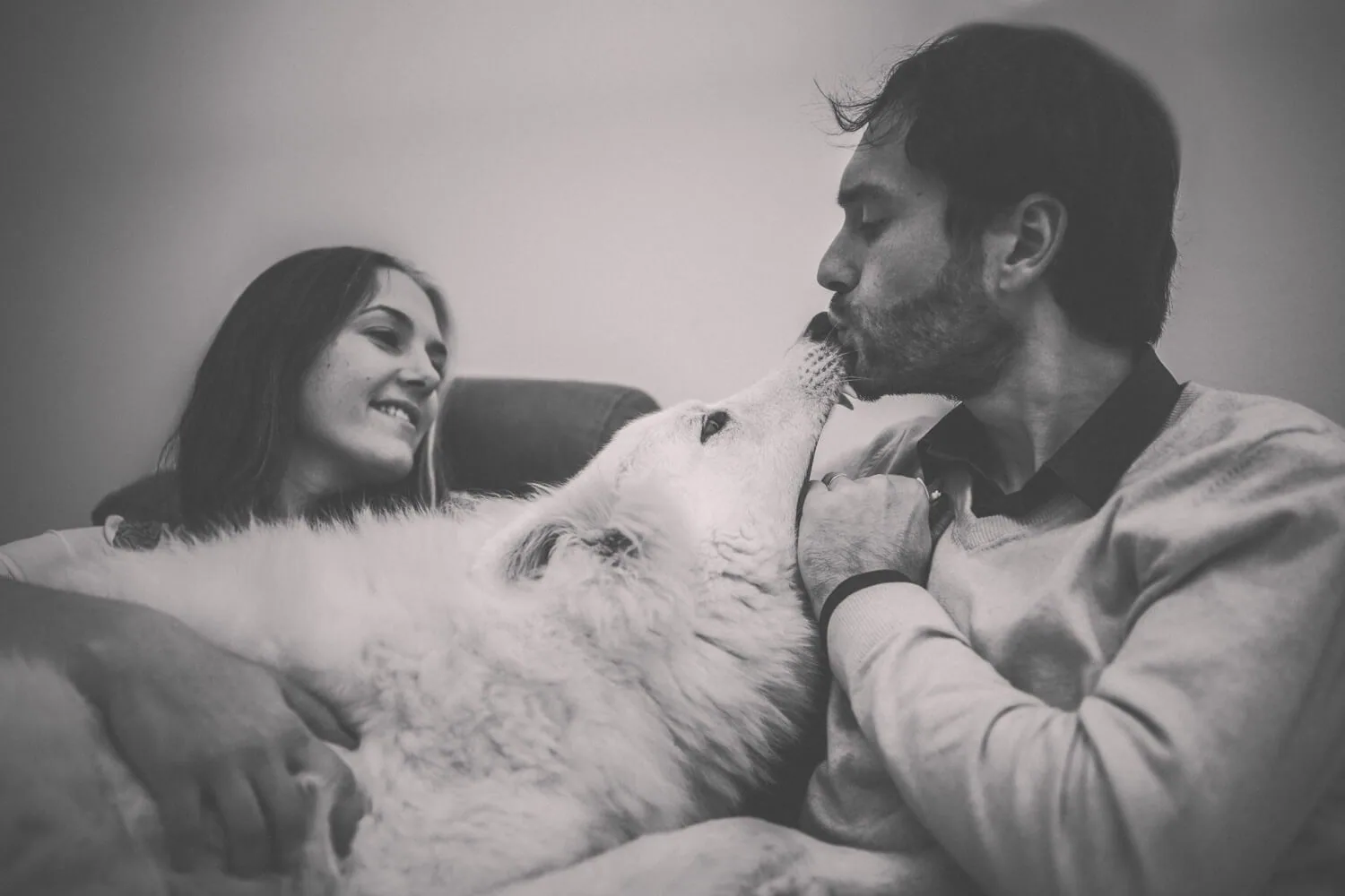 Photographie photographe-animaux-13-seance-photo-animaux-avec-nous-2