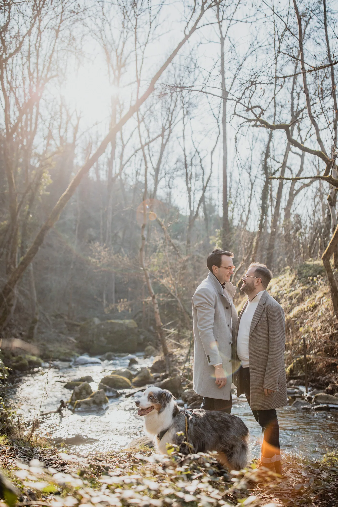 Photographie animaux — Studio Instant de Vie