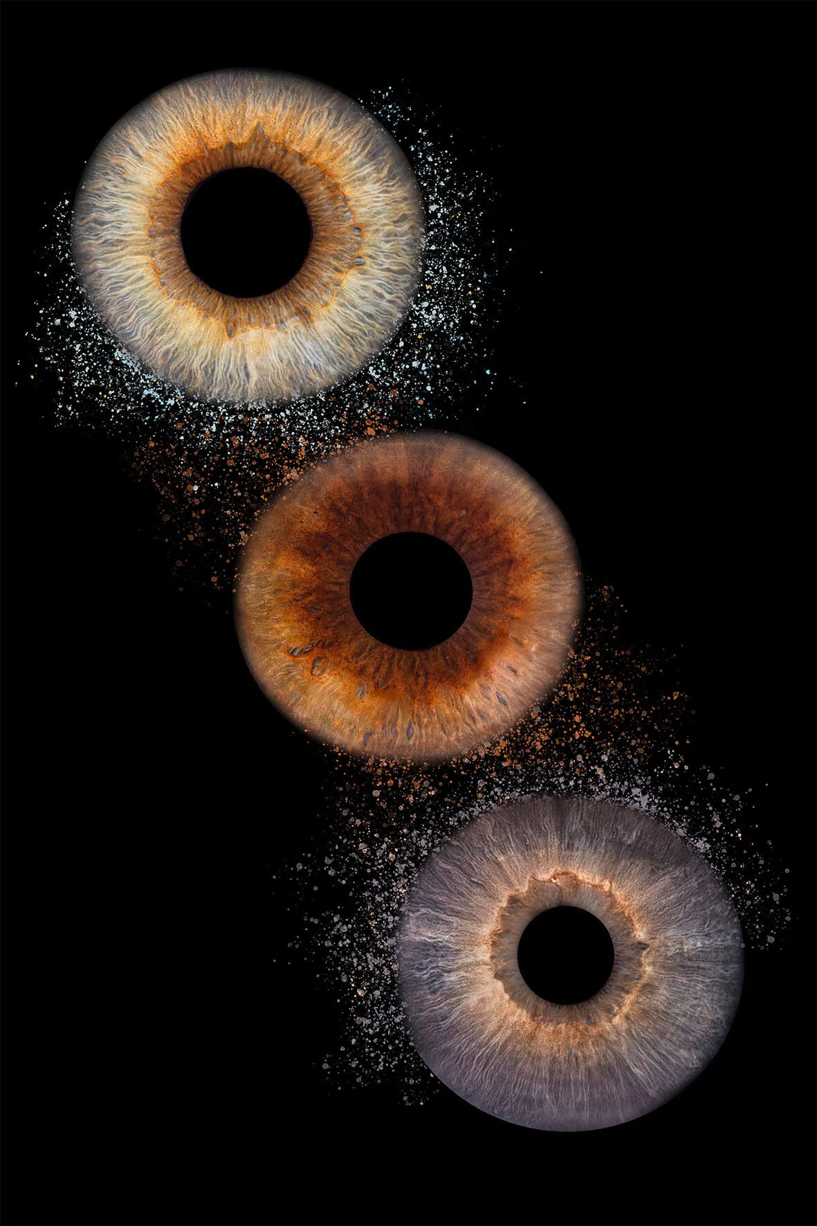 Photographie iris — Studio Instant de Vie