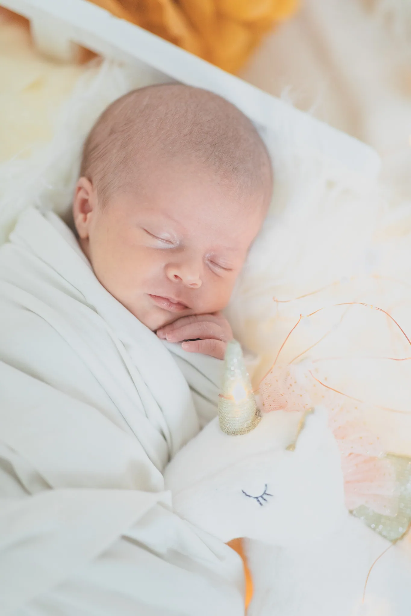 Photographie naissance — Studio Instant de Vie